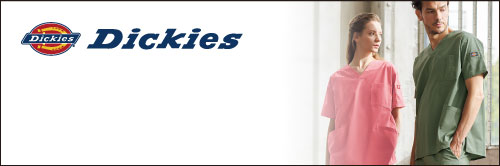 ディッキーズ dickies