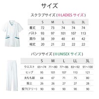 サイズはS～3L
