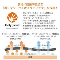 「ポリジン・バイオスタティック」とは
